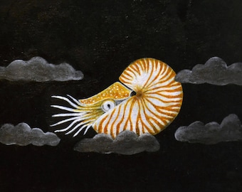 Nautilus, Sealife, Clouds, Print