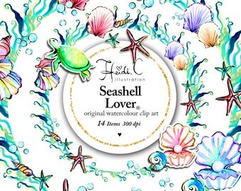 Turtle-Starfish-seashells clipart sea-ocean clipart frames-printable stickers- summer clipart underwater-fantasy clipart-coral-beach-blue
