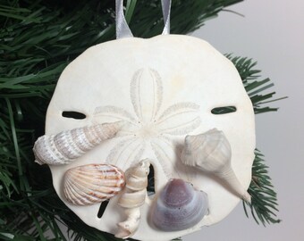 Real Sand Dollar and Seashell Shell Christmas Ornament #1003