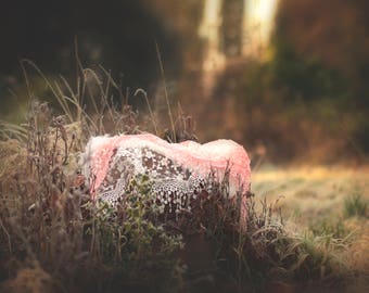Winter Frost Newborn Girl Digital Backdrop