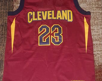 lebron james jersey