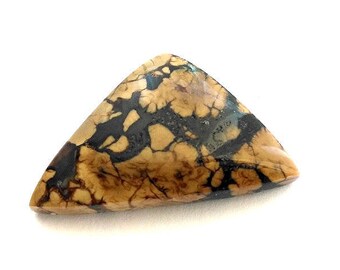 Rare Stefoinite Freeform Cabochon