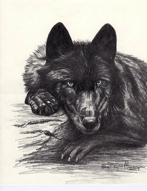 Black Wolf laying down Wolves Limited Edition Print Black