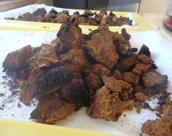 1 Pound Dried Pure Chaga