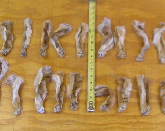 30 Grey Fox Legs