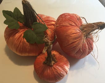Velvet Pumpkins