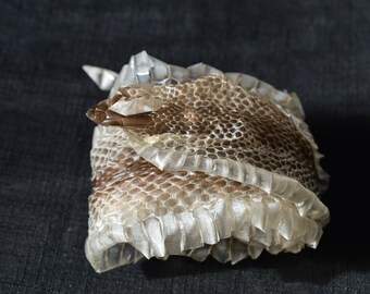 Snake shed Etsy