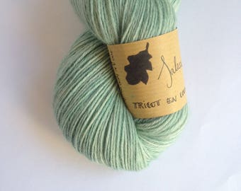 Saleccia - Skein of baby alpaca hand dyed