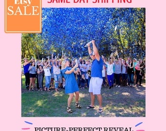Gender Reveal | Gender Reveal Party| Gender Reveal Ideas| Gender Reveal Confetti Cannon| Smoke Bomb Alternative| Baseball or Bows| Popper