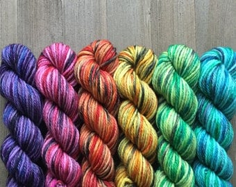 Hand Dyed Yarn, Worsted Weight 4ply, 100% Superwash Merino Wool, Bright Colors Mini Set on Hearty Worsted Yarn