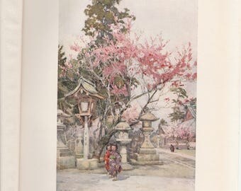antique victorian art print book plate lithograph botanical flowers ella ducane flowers - Japanese Garden Cherry Blossom Paintings antique victorian art print book plate lithograph botanical flowers ella ducane flowers - Japanese Garden Cherry Blossom Paintings