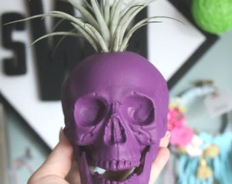 Custom Large Skull Planter with Air Plant Room Decor- Halloween Decor- Home Decor- Color Skull- Desk Decor- Birthday Gift- Christmas Gift