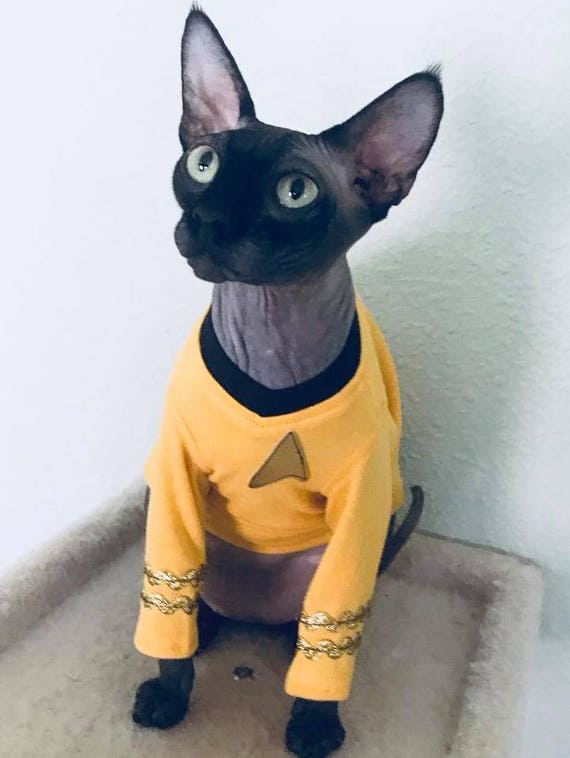 star trek cat outfit