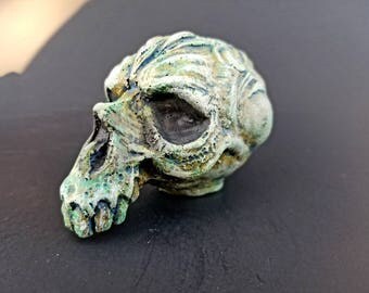Skull sculptures.skulls.home decor.monster skulls. halloween decor. resin figures. oddities.dark art. creepy sculptures. creature sculptures