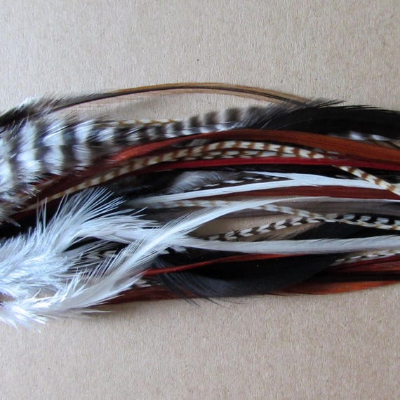 Feather Hair Extensions Natural Mix