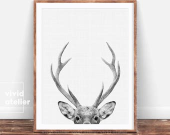 Nursery Decor, Printable Gift, Deer Print, Home Decor, Woodland Nursery, Animal Print, Deer Poster, Deer Head, Woodland Animals, Deer Antler