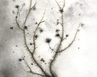 Encres sur papier "Végétal" - Oeuvre originale - Encre noire et sépia - Art abstrait contemporain