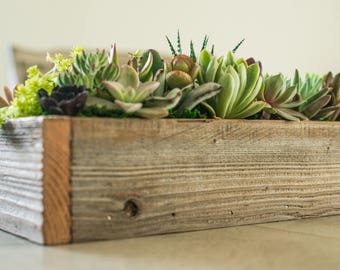 Garden Boxes Succulents in wooden box succulent t box succulent centerpiece for table Christmas t office t sympathy