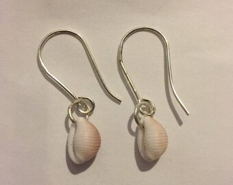 Real Cowrie shell earrings