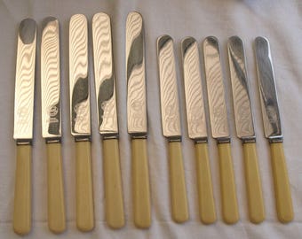 Set of eleven vintage Firth stainless SM&Co Ld faux bone handle knives.