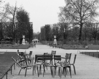 Meeting in the garden of the tuileries, Paris, December 2014