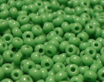20g of beads ROCKERY green bag