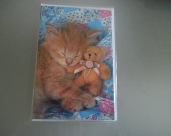 x 1 card double multicolored representing a kitten and her cub + envelope 17.3 x 11.5 cm
