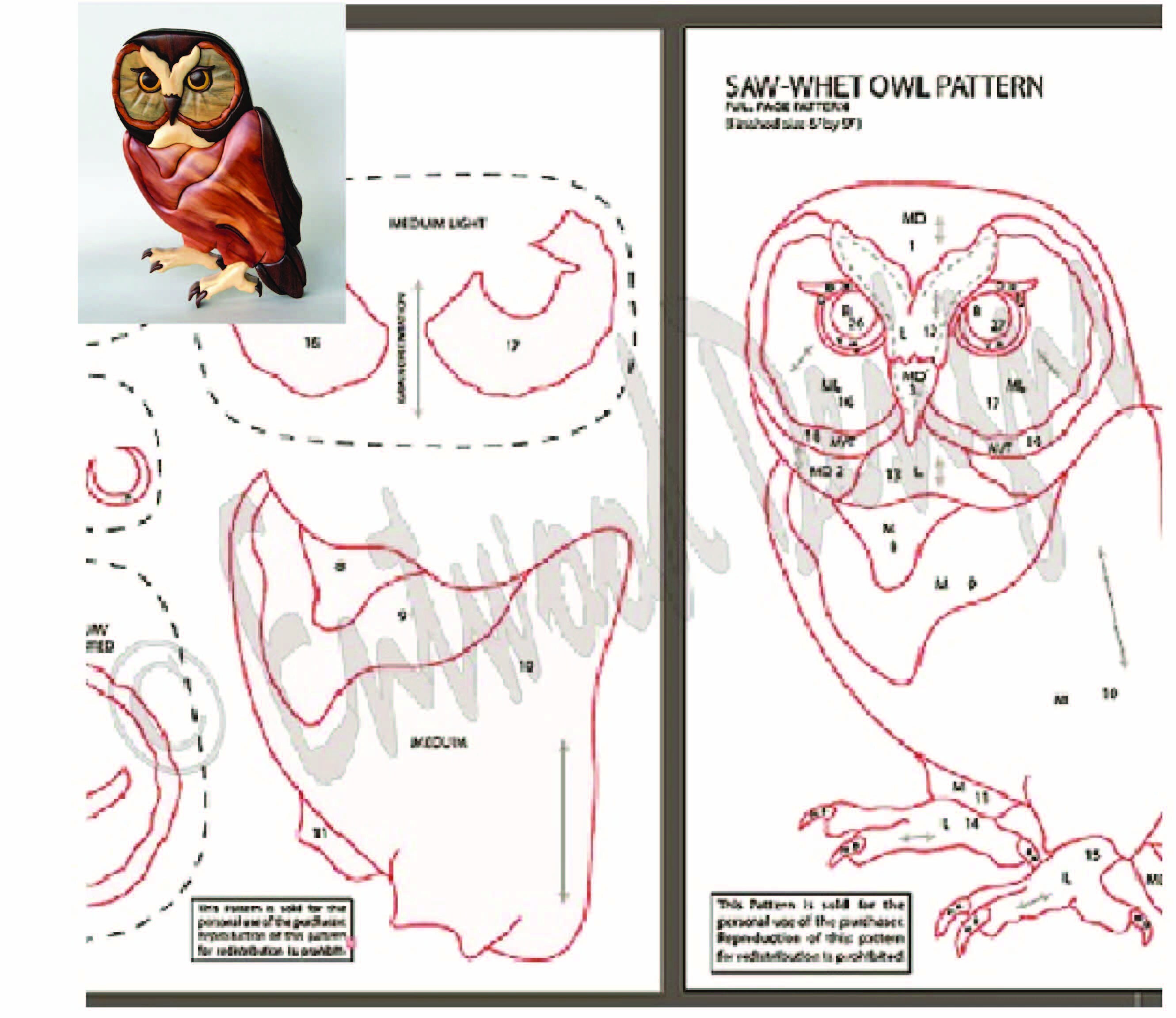 Saw Whet Owl Intarsia Scrollsaw Pattern PDF Digital 