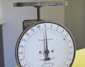 Vintage Scale, Gray Chippy Paint, Bird Wren, Farmhouse Kitchen, Hanson Chicago, Weigh Master