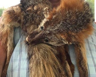 Genuine red fox stole from the 1940s