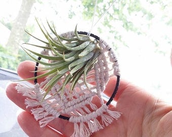 Air plant holder Hanging mini macrame with airplant Wall hanging Window hanging Car hanging Small gardener gift
