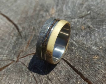 Meteorite Ring, Titanium Ring with Gibeon Meteorite, Deer Antler and Dinosaur Fossil Inlays, Meteorite Band with Titanium Inner, Mens Ring