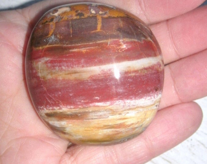 Petrified Wood Freeform Palm Stone, 85.5g, salicified wood, agatized, Madagascar, crystal healing, meditation, display specimen, fossil gift