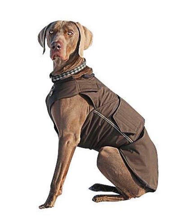 Weimaraner SoftShell Dog Coat Red Winter Dog Coat Custom