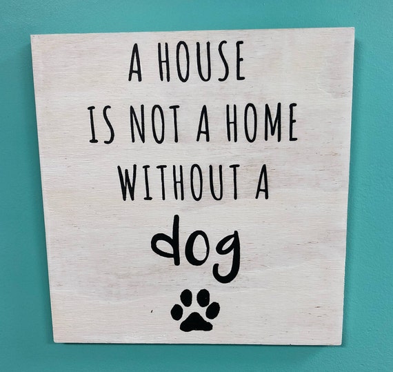 a house is not a home without a dog pillow