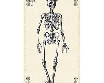 Chillingsworth Skeleton Fabric - 24 x 44 inch Panel - Black on Natural Cream Fabric Andover Halloween Fabric Quilt Fabric A-7442-N