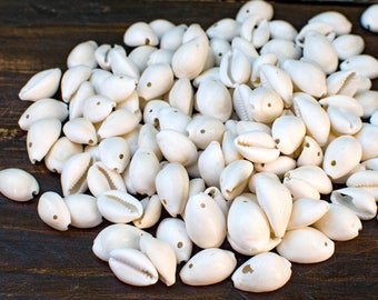 White Shells, 40pcs, Full Cowry Shell, One Hole, Natural Shell -BN117