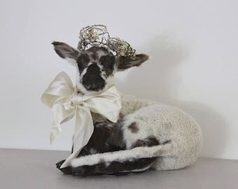 Vintage Taxidermy Lamb, Jeanne D'arc Living, Nordic Decor, Brown White Sheep