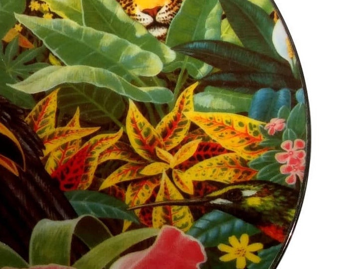 Rainforest Magic Wall Hanging Plate, Gift Idea, Wall Plate, Tropical Design Vintage Plate, Environmental Artists