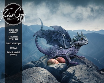 Realistic Dragon Overlay