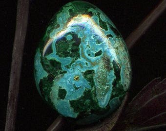 Malachite and chrysocolla (131), cabochon, 31 x 26 x 10 mm