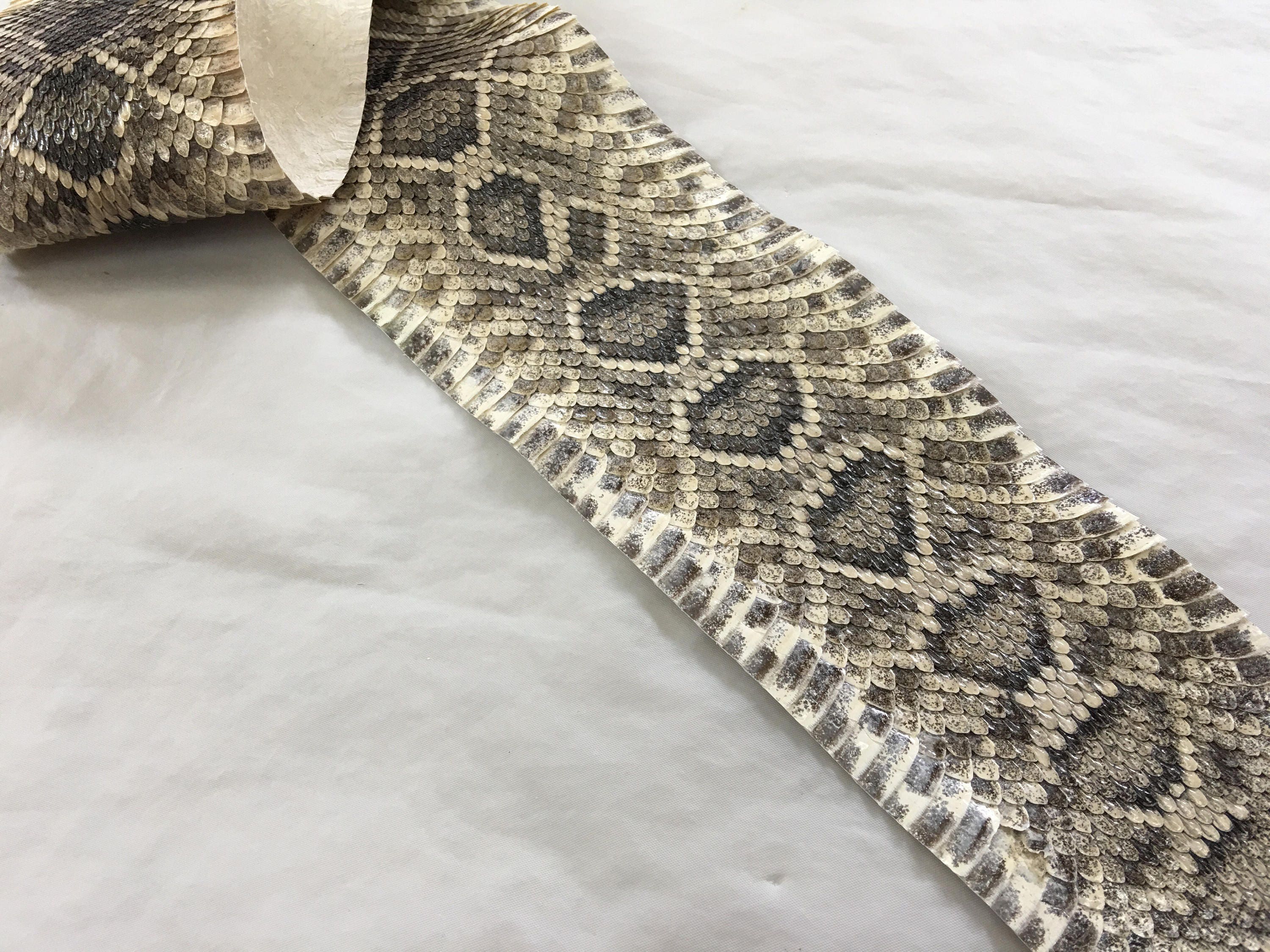 New Eastern Diamondback Rattlesnake Hide, real snake skin, rattlesnake ...