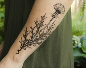 Lavender Twigs Temporary Tattoo Collection of 2 Black Ink