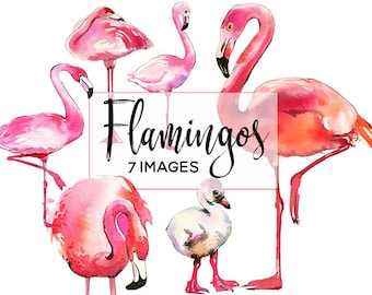Flamingo Watercolor Clipart Collection 9 Illustrations Seamless Pattern Tropical Birds Tropic Clipart Nursery Printable Wall Art Pink