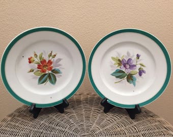 Green Rimmed Hand Painted Floral Pattern Decorative Plates