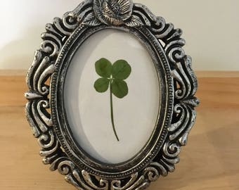 Real Four Leaf Clover in Small Silver Victorian Frame (Oval)