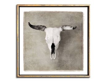 Bull Skull Wall Decor cow skull art | etsy Bull Skull Wall Decor cow skull art | etsy