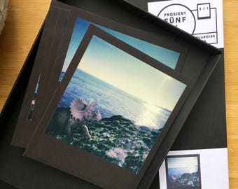 Beachsaurus replica collection box - 5 Polaroidprints of the Beachsaurus series in collection box