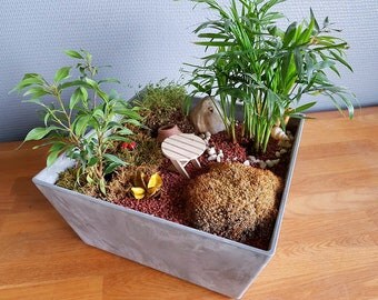 Mini zen garden