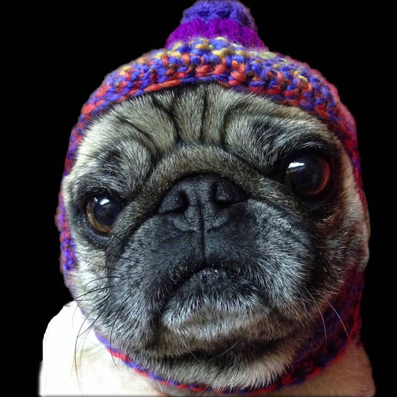 Custom Dog Hat Made to Order Barkclava Dog Hats You